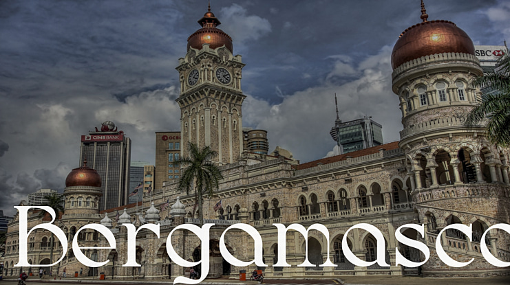 Bergamasco Font Family