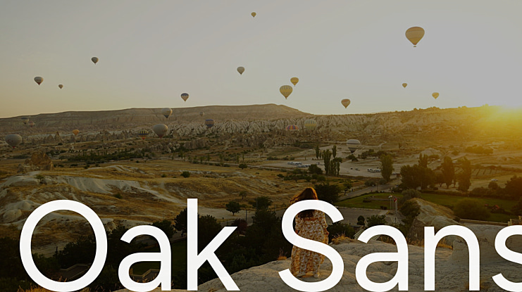 Oak Sans Font Family
