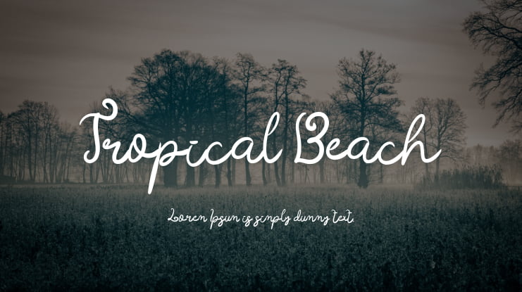 Tropical Beach Font
