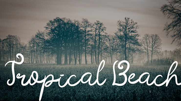 Tropical Beach Font