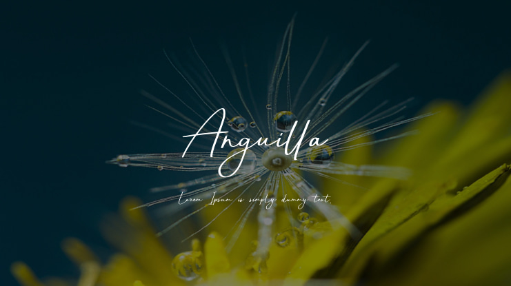 Anguilla Font