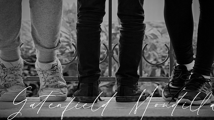 Gatenfield Mondilla Font Family