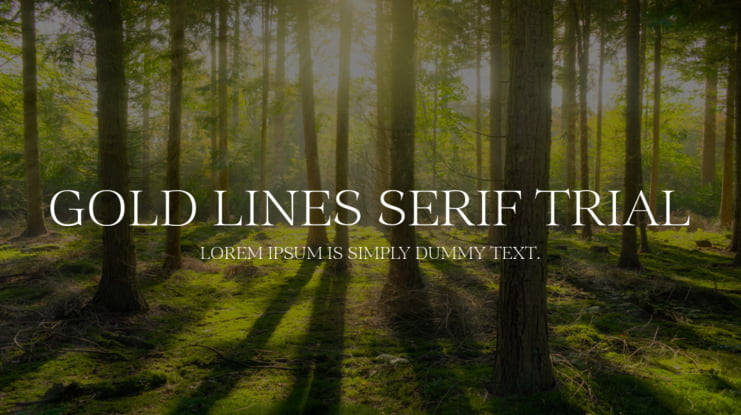 Gold Lines Serif Trial Font Family
