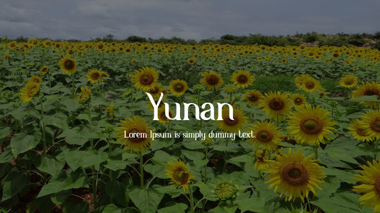 Yunan Font