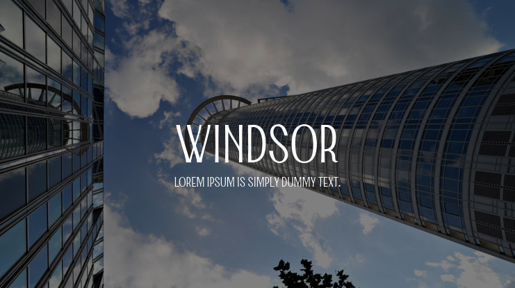 Windsor Font