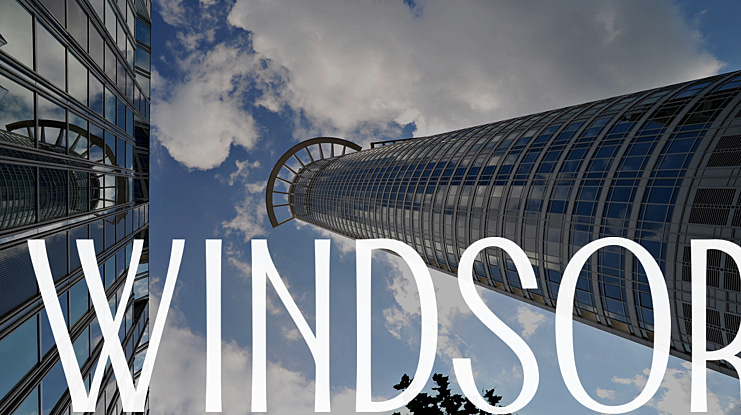 Windsor Font
