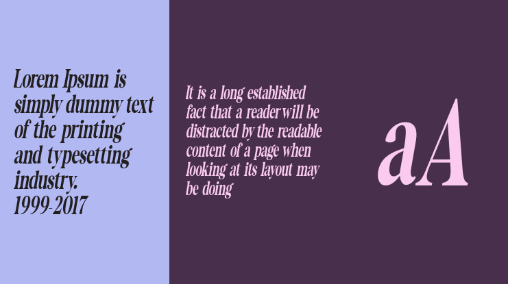 The Documentary Condensed Itali Font Family