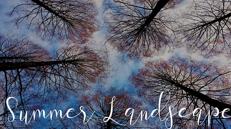 Summer Landscape Font