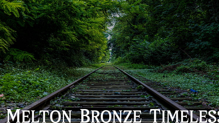 Melton Bronze Timeless Font