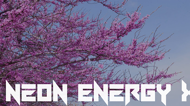 Neon Energy x Font Family
