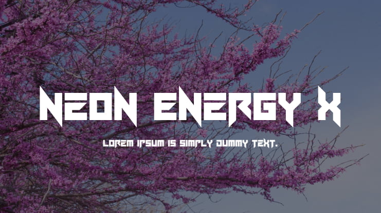 Neon Energy x Font Family