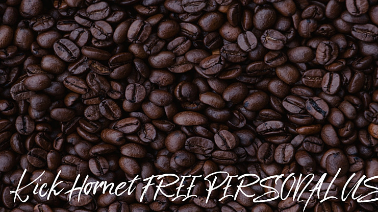 Kick Hornet FREE PERSONAL US Font Family